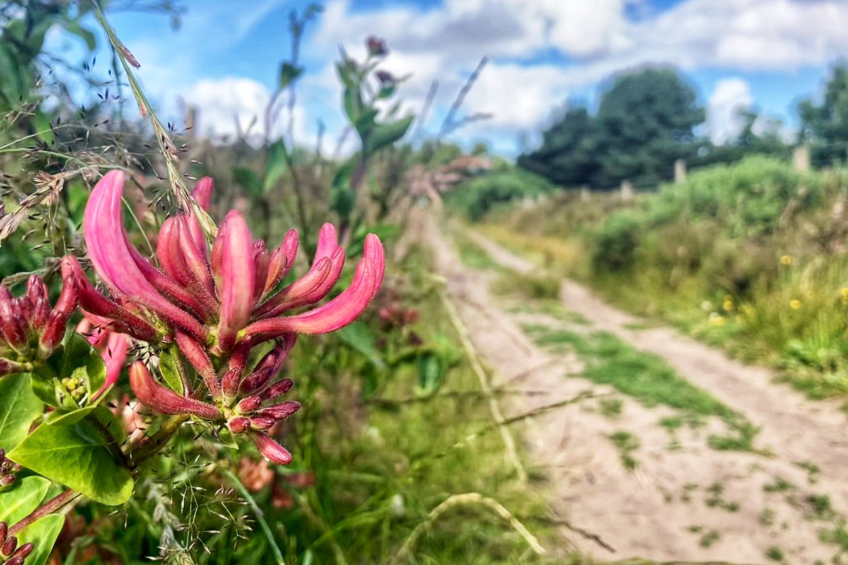 Cllr Peter Harvey tweet media