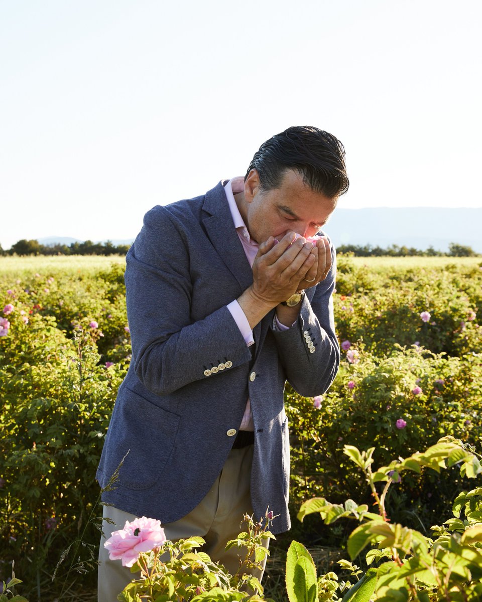 Guerlain's tweet image. Each year, Guerlain Master Perfumer Thierry Wasser personally oversees the rose harvest, ensuring that only the finest flowers are selected for the L’Art &amp;amp; La Matière Collection. Expert harvesters pick each bloom by hand at sunrise, to keep the prized essence tightly wrapped…