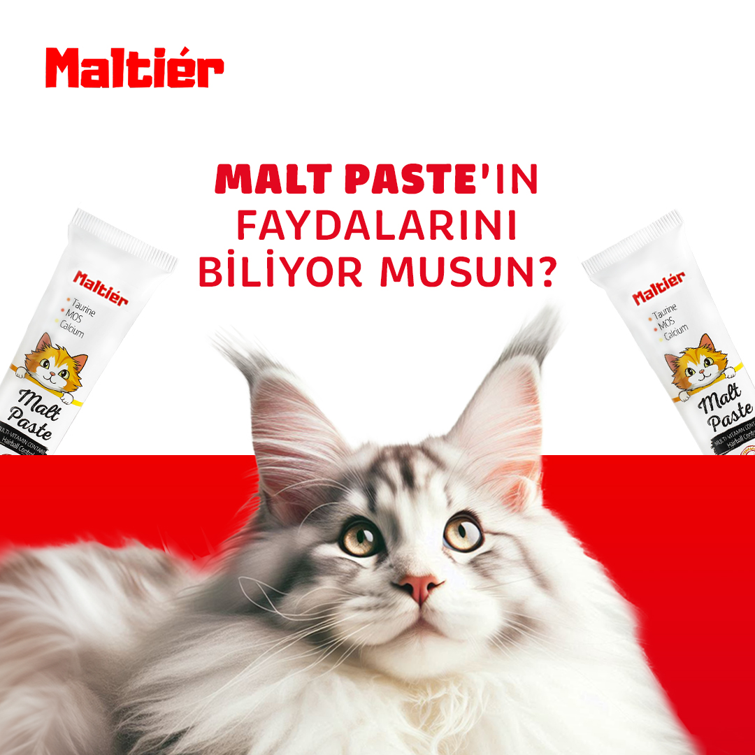 maltier_tr's tweet photo. Kedinizin sağlığı için Malt Paste, tam bir sağlık paketi sunar!
Bağışıklık sistemini güçlendirir, deri ve tüy sağlığını destekler, bağırsak ve sindirim sisteminin düzenli çalışmasını sağlar, kas dokusu ve kemik iskeletini destekler, ayrıca kalp ve göz sağlığını korur. https://t.co/EATZSw3nEE