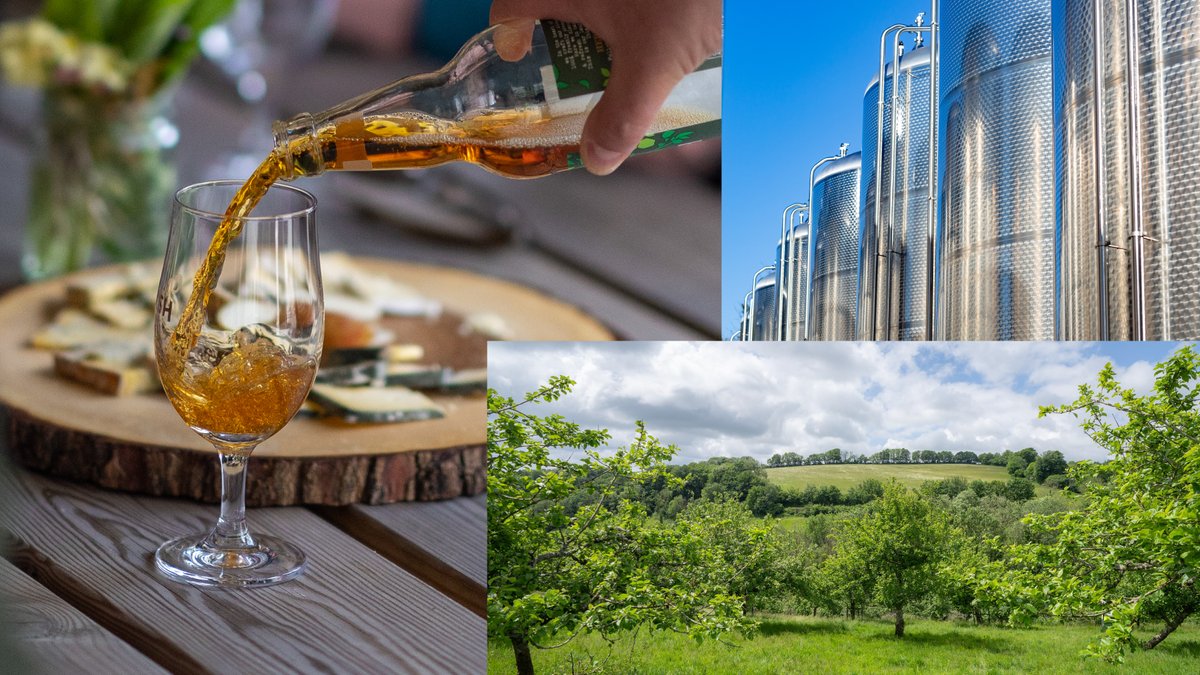 Visit our farm for a Tour and Tasting! 🌳🍎✨

We have plenty of upcoming dates this July at the farm. Book your tour today via:

cornishorchards.co.uk/pages/tours-an…

#locallypressedcider #cornwall #drinkresponsibly