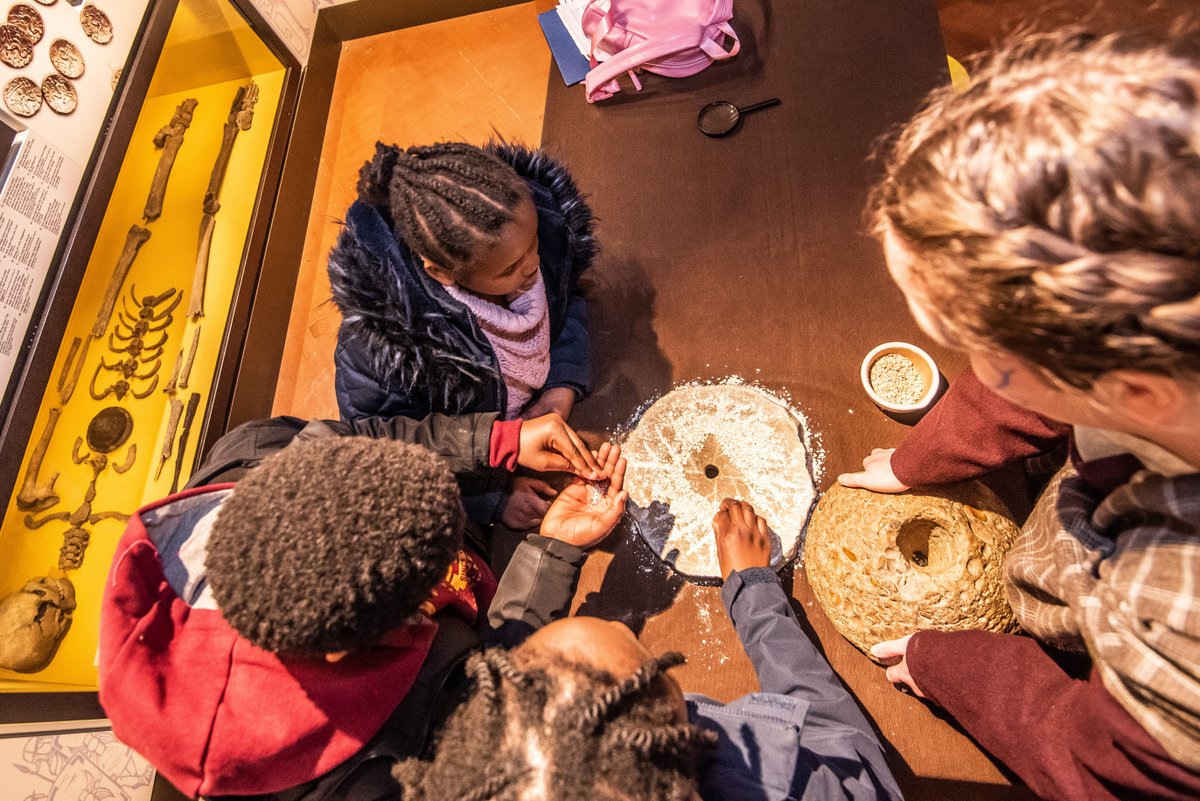 Lynn Museum tweet media