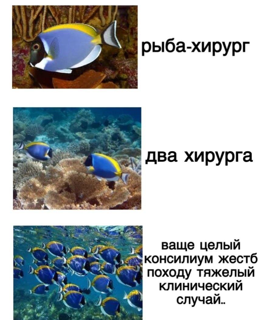 Astra🌌⚛️☮️ (@hton_lesnaya) on Twitter photo 