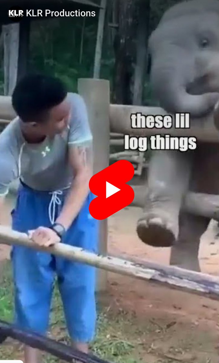 blistdotcc's tweet image. blist.cc/minimal?page=p…
Man vs elephant 😁