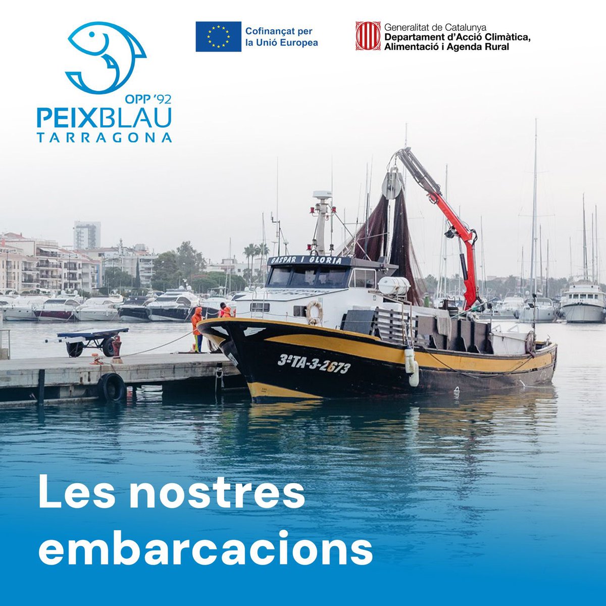 OPP Peix Blau Tarragona (@peixblautgn) on Twitter photo Les embarcacions no són només eines de pesca, són el puntal de la nostra OPP.
 
🐟 En cada producte, es reflecteixen la tradició i el compromís dels nostres pescadors.
 
#opp #peixblau #tarragona #cambrils #ametllademar Les embarcacions no són només eines de pesca, són el puntal de la nostra OPP.
 
🐟 En cada producte, es reflecteixen la tradició i el compromís dels nostres pescadors.
 
#opp #peixblau #tarragona #cambrils #ametllademar