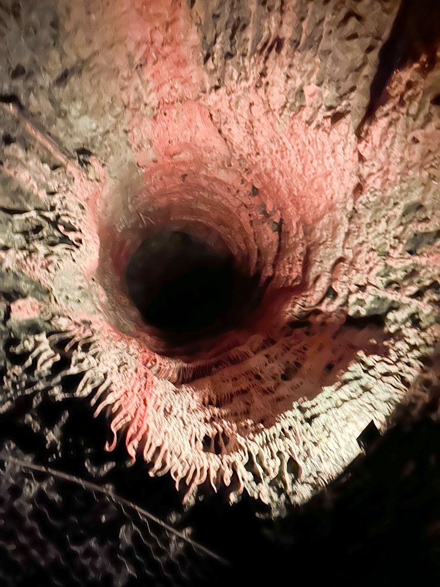 Such an interesting place, Dudley Canal Trust. #dudley #canal #mines 
We had a lovely afternoon and a tour to ourselves. Good timing 🤣