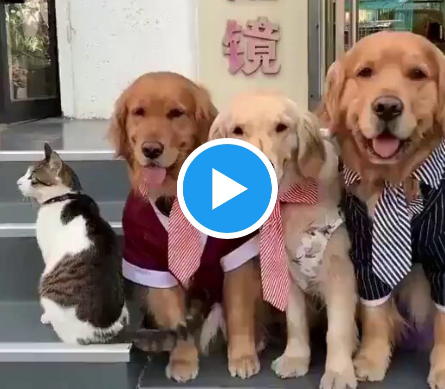 blistdotcc's tweet image. blist.cc/minimal?page=p…