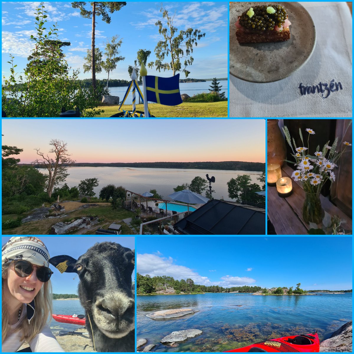 IngeKHerrmann's tweet photo. Back from 🇸🇪 midsommar holidays 🇸🇪 in the Stockholm archipelago with our Swedish friends and gotland sheep ❤
#ocean #kajaking #bestfood #hideaway @EttHemStockholm @bjornfrantzen #SundNergarden https://t.co/Z5eFBzFeAS