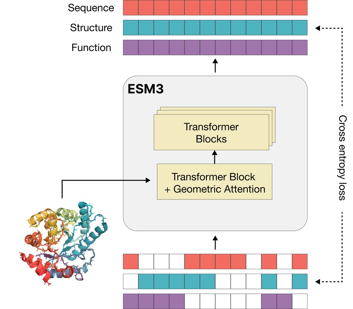 Bluechip_AI's tweet photo. A new AI biology model, developed by #EvolutionaryScale - founded by former Meta engineers - is revolutionizing biology by making it programmable.
The company just announced the release of #ESM3, a cutting-edge language model capable of designing novel proteins based on user prompts.
Impressively, ESM3 created a unique green fluorescent protein (esmGFP) in tests, a process that would have naturally taken over 500 million years to evolve. The future of biology is here with EvolutionaryScale's groundbreaking innovation.
Read More: https://t.co/O02yLS7dVb