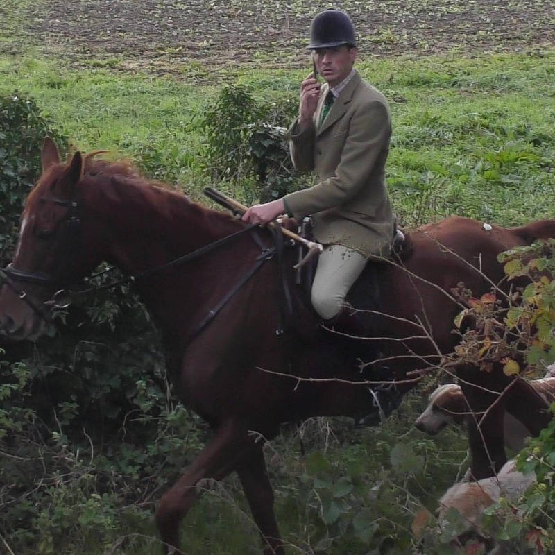 Protect the Wild tweet media