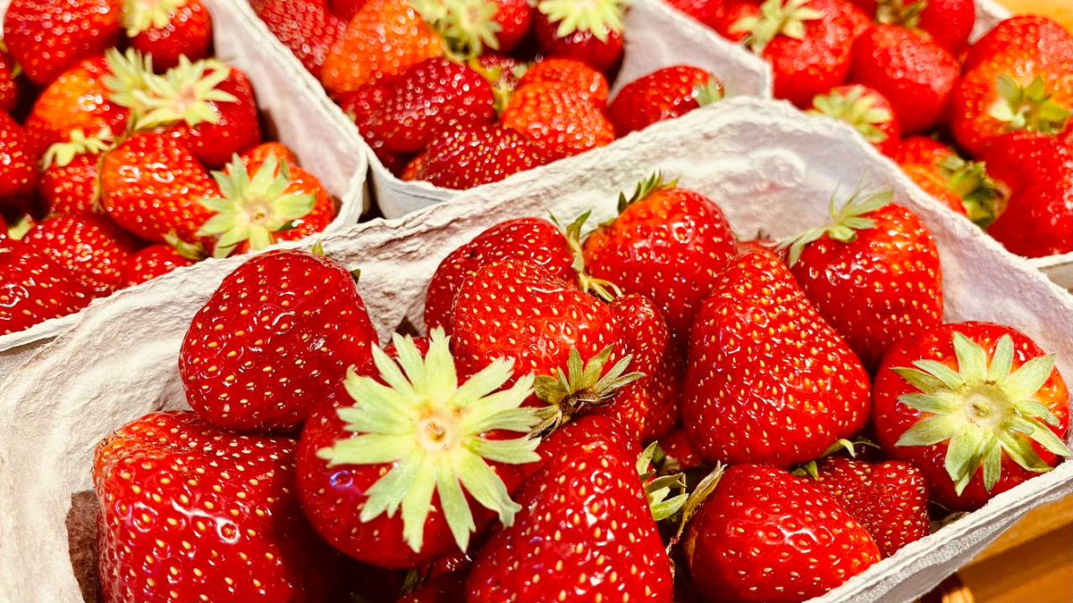Im Juli werden die letzten #Erdbeeren reif. Späte Sorte, wie Malwina, blühen nun und versorgen uns noch bis Anfang August mit Erdbeeren vom Feld.
Daher: Erdbeerzeit ist Konfitürezeit! 
#hkp #hobbykochpod #konfitüre #kochen #erdbeermarmelade #erdbeerkonfitüre #foodie #podcast