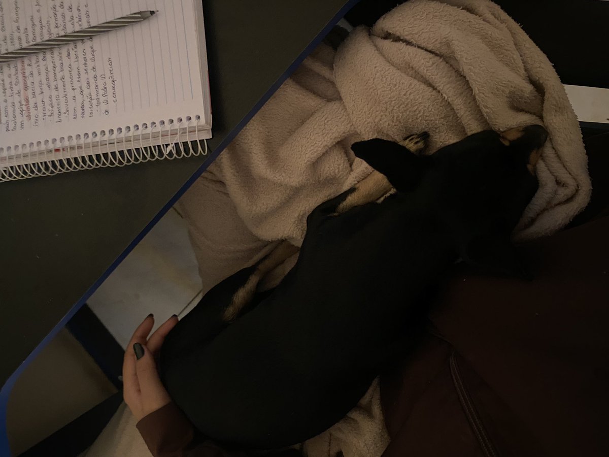 studslala's tweet image. de hoje cedo com meu amor me acompanhando ❤️