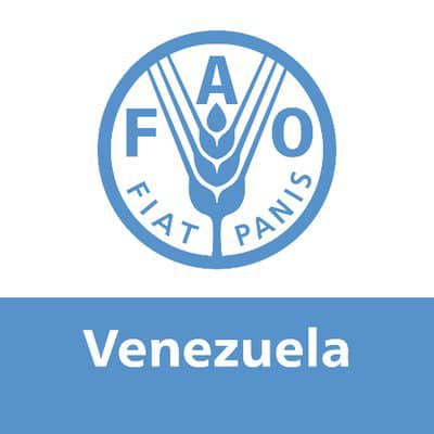 FAO VENEZUELA tweet media