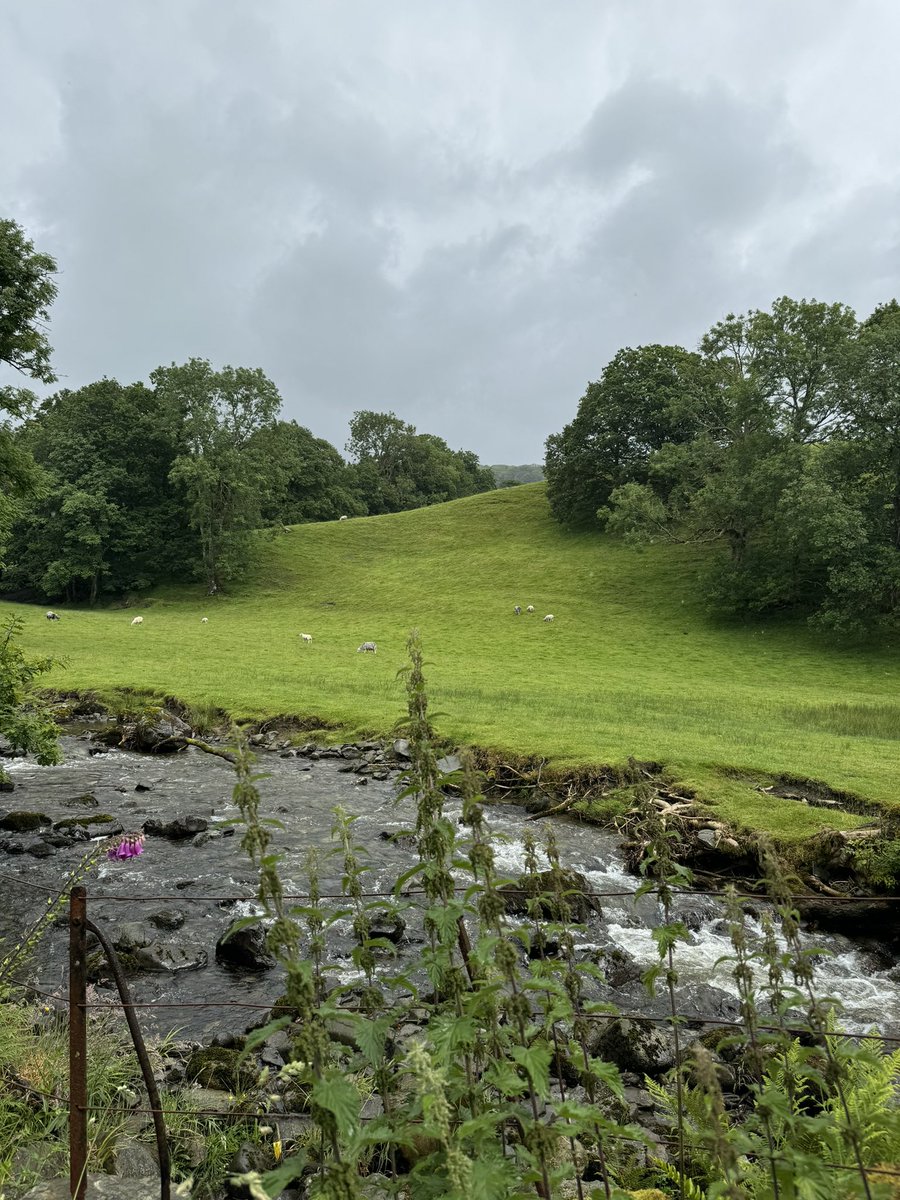 Just wrapped up my first ever British Zeolite Association meeting in Ambleside, UK!  The talks, science, and discussions were all incredible, and I can't wait for the next one.
Lake District has stunning scenery! And yes I was lucky to see blue sky and ☀️ in my first UK visit :)