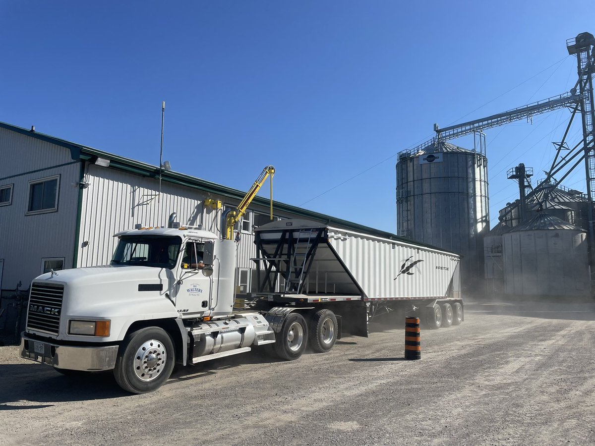 First load of wheat is in! Quality is looking good! 🌾

#ontag #cdnag #harvest24

<a href="/WaltersFarmsInc/">Bill Walters</a>