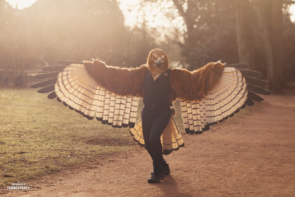 Didn't mean to land in front of your camera, sorry haha!

#FursuitFriday #NFC2024 
🦅by <a href="/clckwrkcreature/">Clockwork Creature</a>
📷by <a href="/FENNECPARTY/">MYLO 🦊📸</a>
