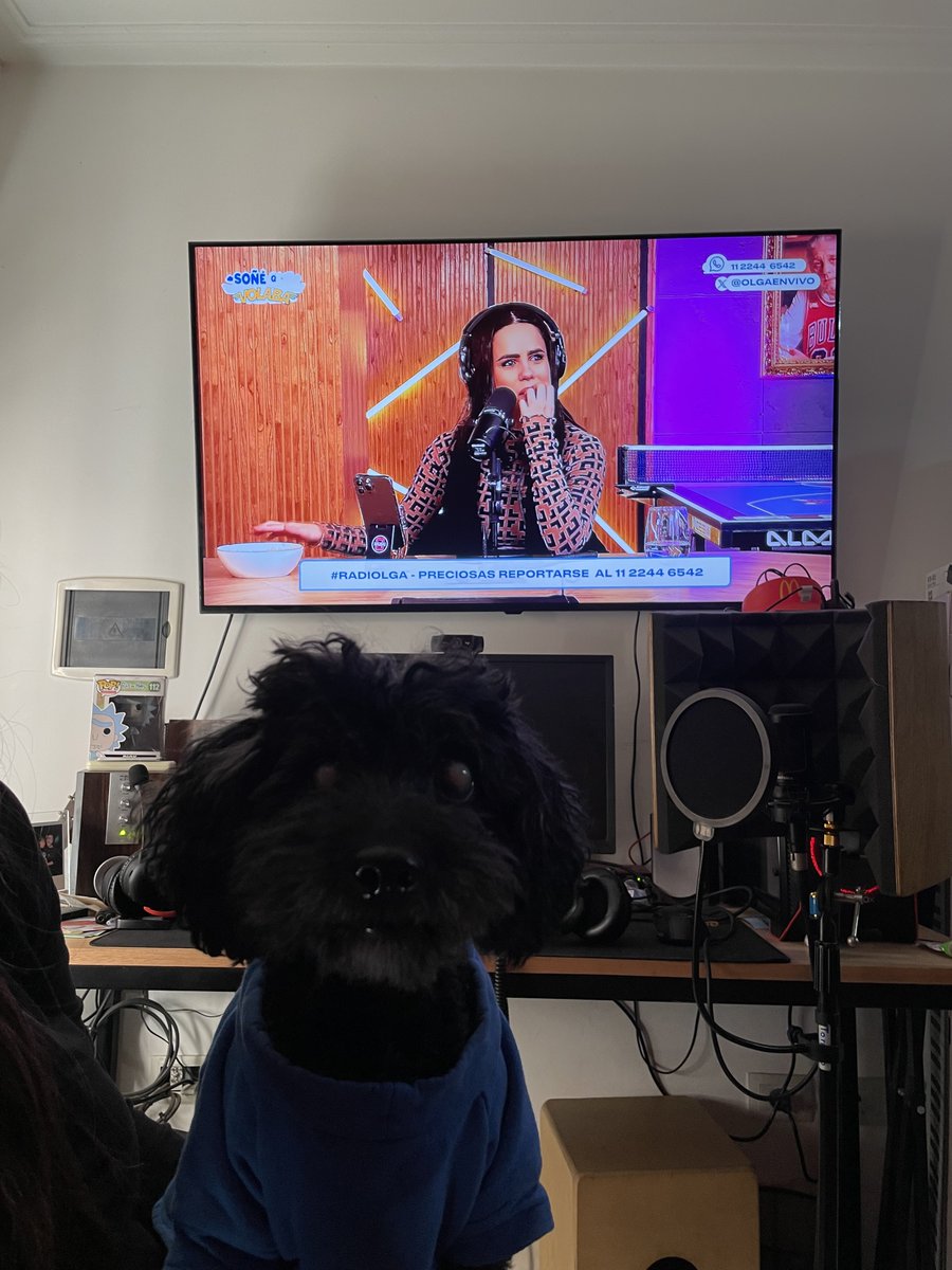 GeraFavatela's tweet photo. Stevie escuchando #radiolga @olgaenvivo ❤️💙 https://t.co/445N2ZBPGI