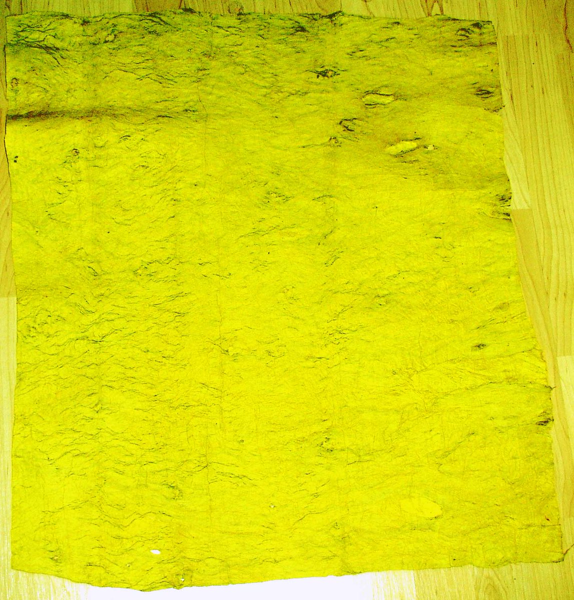 Some of our naturally dyed Tapa, (Golden Yellow) 24x36 or by the roll.
