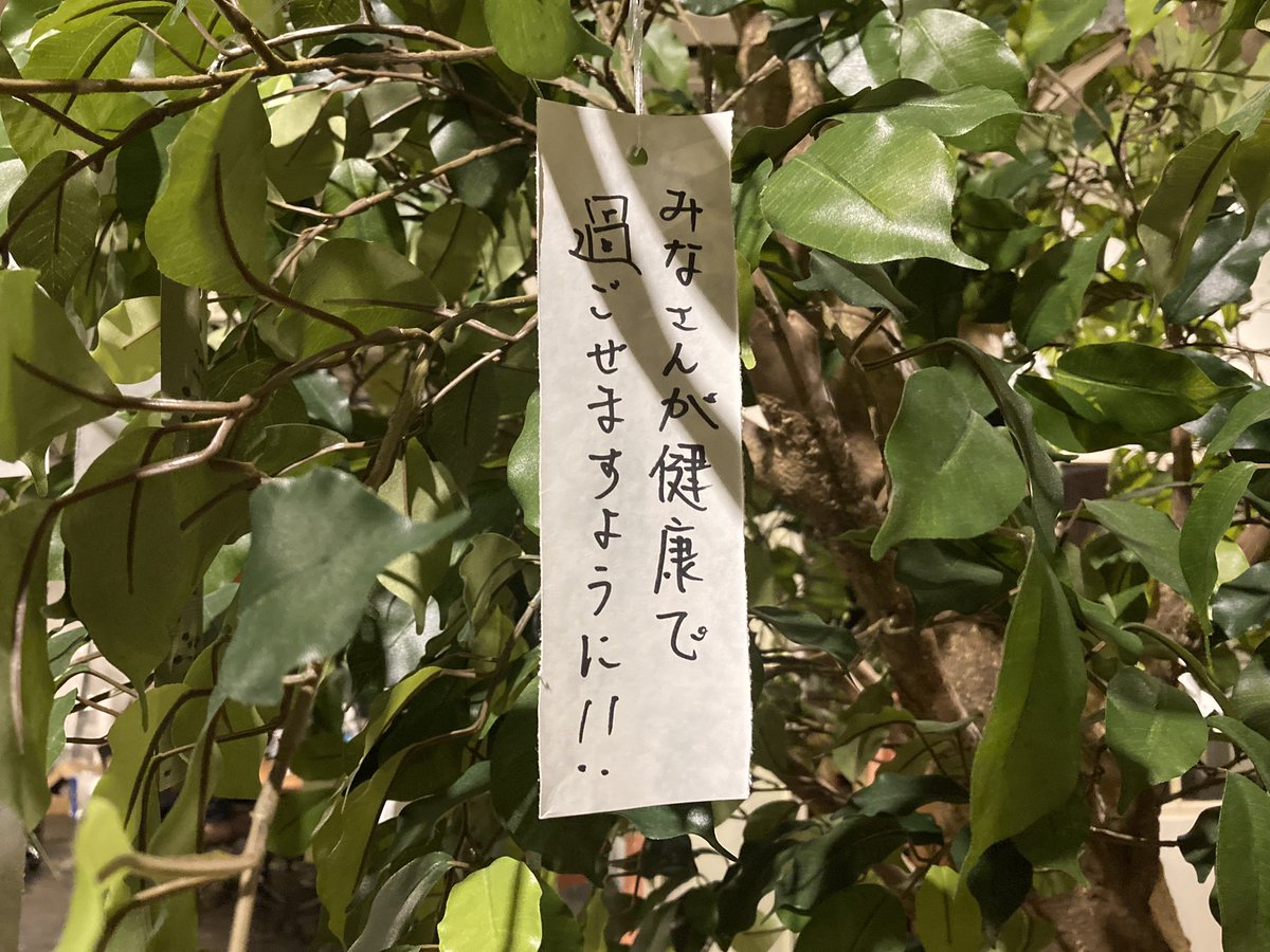 Cyujo_com's tweet image. 自分の願いじゃなくて尊過ぎる、
ありがとうございます🎋🌌
願い主さんこそ健康で過ごせますように😌🙏🏻