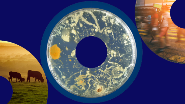 JPIAMR (@jpiamr) on Twitter photo <a href="/Vetenskapsradet/">Vetenskapsrådet</a> is recruiting a Head of Secretariat and a Scientific Adviser to work with the upcoming European partnership on One Health Antimicrobial Resistance (OHAMR). Come and work with us!
jpiamr.eu/job-vacancies-… <a href="/Vetenskapsradet/">Vetenskapsrådet</a> is recruiting a Head of Secretariat and a Scientific Adviser to work with the upcoming European partnership on One Health Antimicrobial Resistance (OHAMR). Come and work with us!
jpiamr.eu/job-vacancies-…