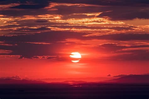 Bleu_Owl's tweet photo. Heat Wave : 🥵
This #ceaseless heat wave,
The #cerebral dysfunction-
Of #conscious mourning ~
#senryu #poetrycommunity #poetry
#haiku @Bleu_Owl #haikuchallenge
Ceaseless* Cerebral* Conscious* https://t.co/Rj8M2gwAIg