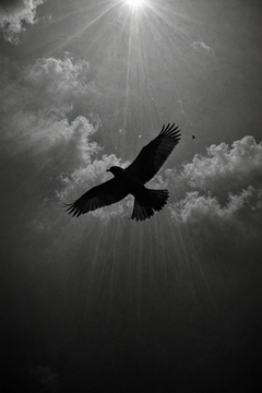 Two of these images are real, two are fake. Can you tell which are which? 🤔

To help prevent misinformation and fraud, today we release SuSy, our first synthetic image detector model. Trained to identify images generated by #GenAI models 👇

huggingface.co/HPAI-BSC/SuSy