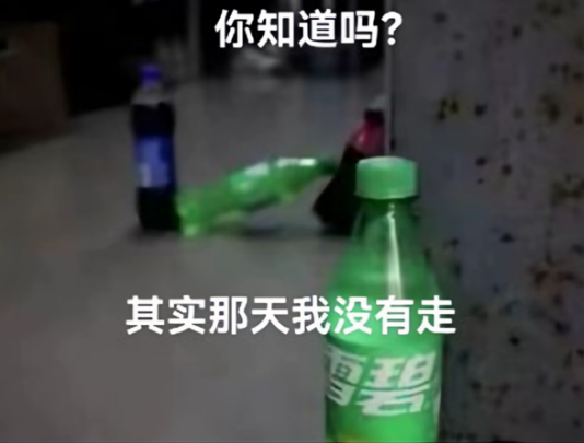 Tim哥 tweet media