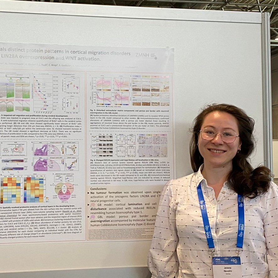 Great to have been part of #FENS2024 . Jelena Navolic presented her work characterizing  brain migration disorders using spatial #proteomics.