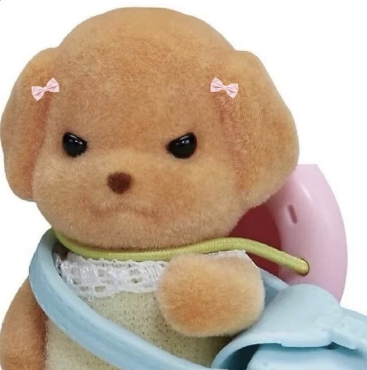 celita!! tweet media