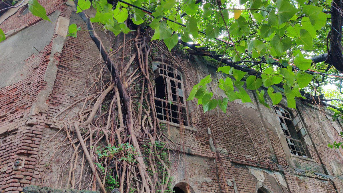 Chinchpokli: The Angkor Wat of Mumbai