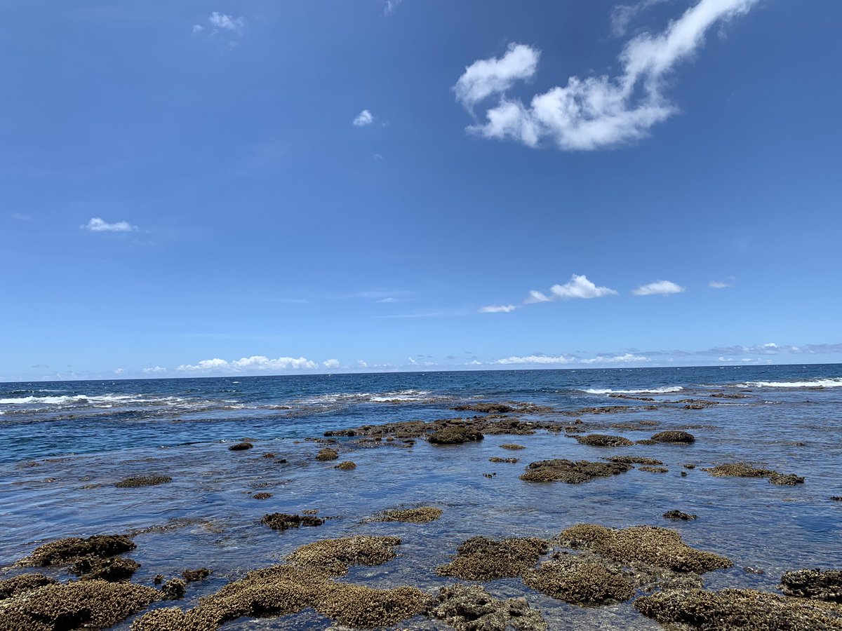 遠征2日目
昨日と同じポイントと干潮前後でリーフ。
普通に釣り嫌い。