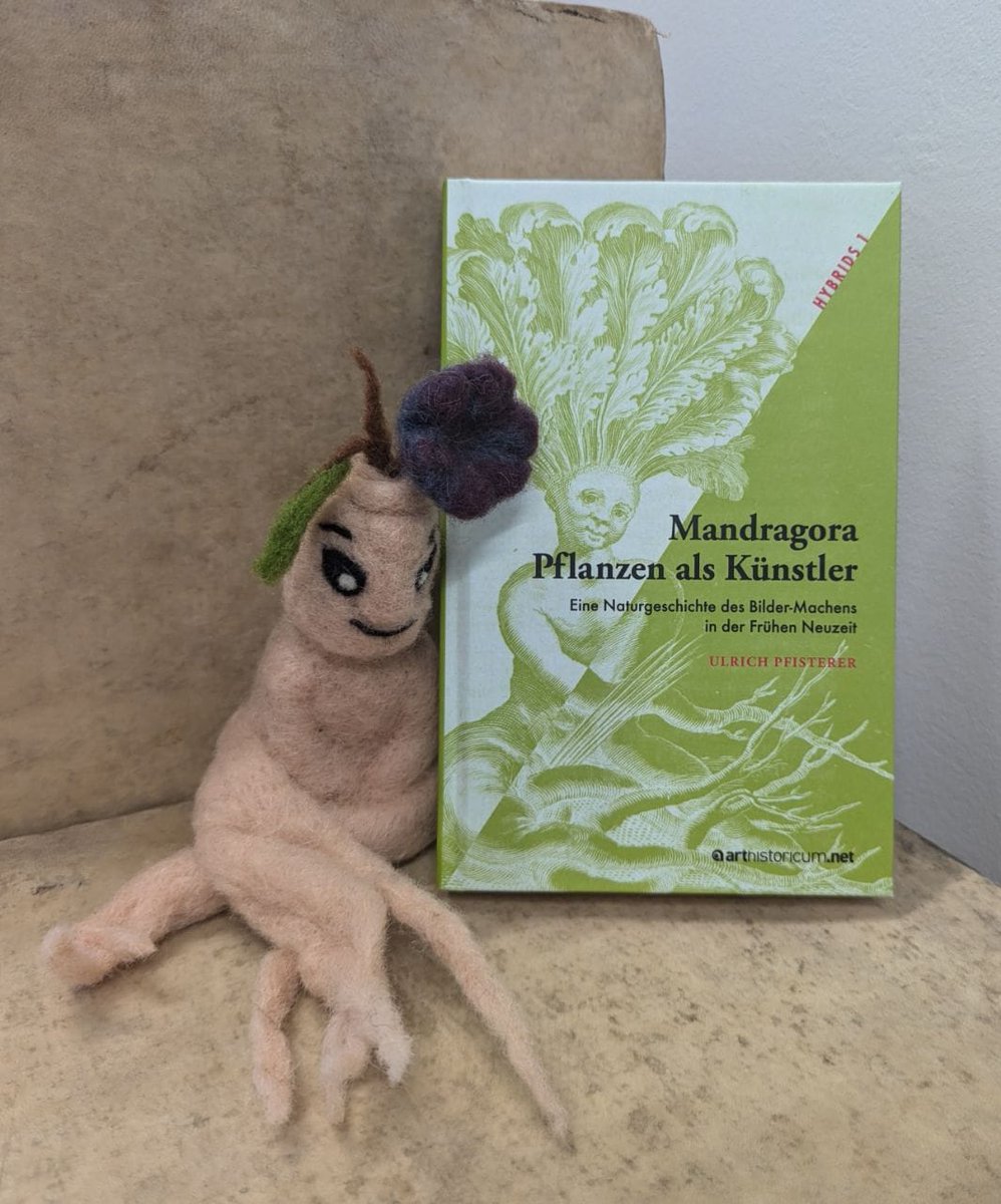 Die kleine Madragora liebt ihr Buch!
#mandragora #ulrichpfisterer #OpenAccess #hybrids
doi.org/10.11588/arthi…