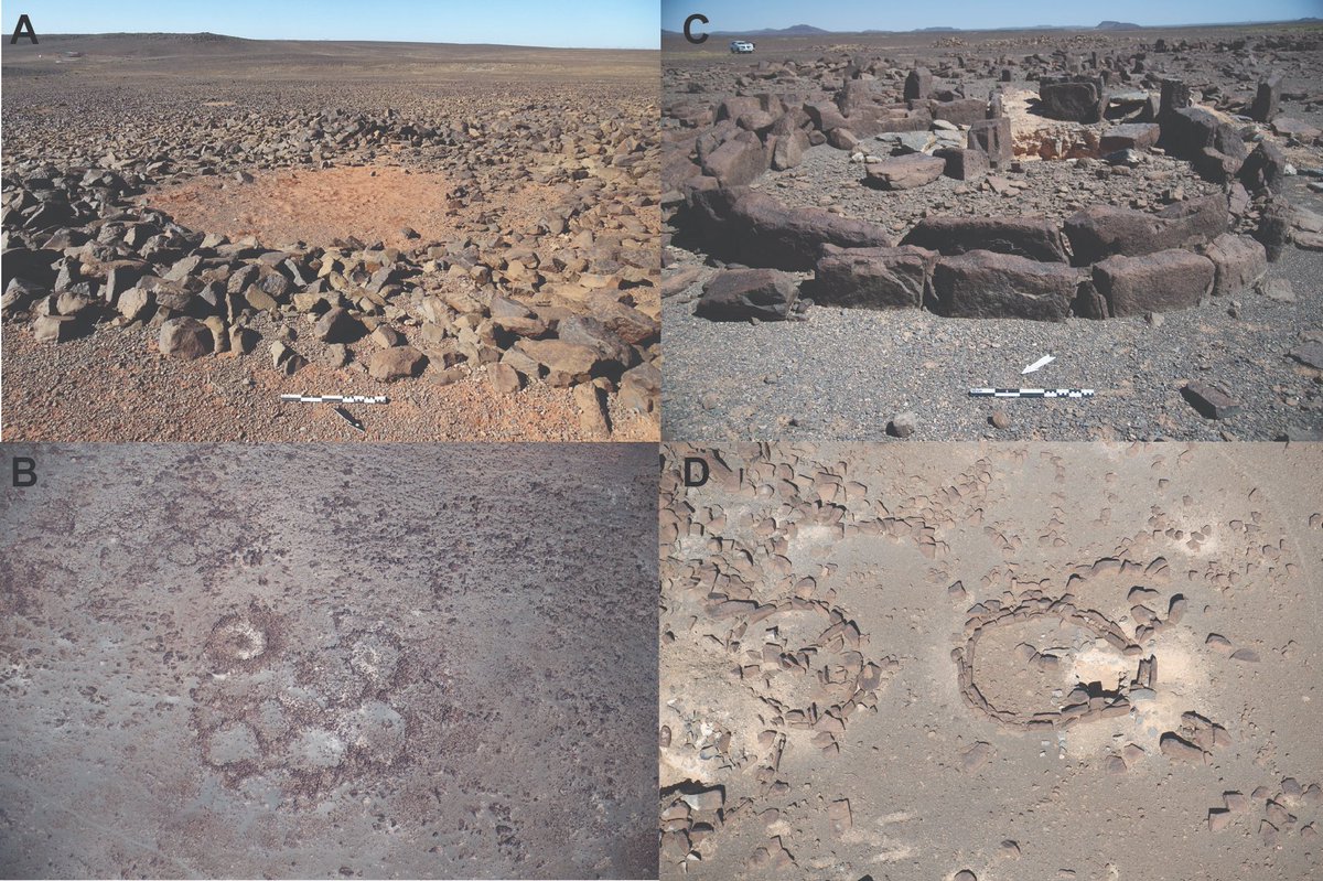 New paper looking at Neolithic ‘Standing Stone Circles’ from north-west Arabia—AlUla. Projectile points and architectural parallels provide insights into the origins of neolithization in northwest Arabia. OA at 👇
doi/full/10.1080/00758914.2024.2350826