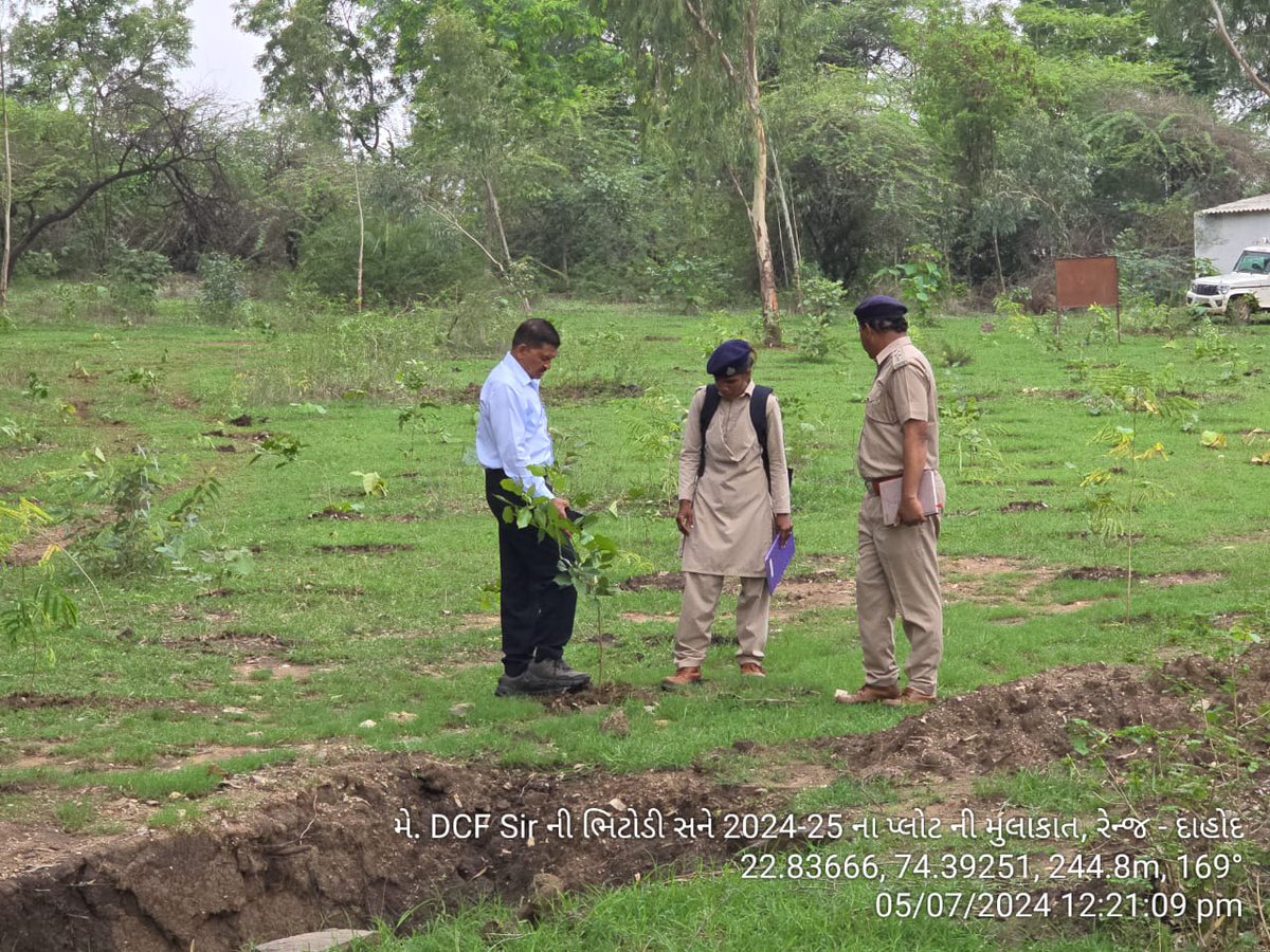 DCFBaria tweet media