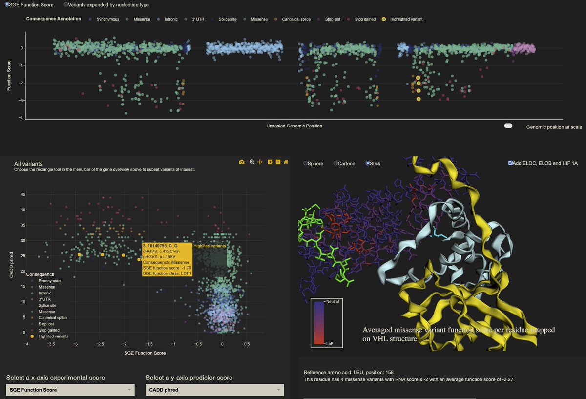 TheGenomeLab's tweet image. The VHL data can also be searched, visualised, and explored using this awesome SGE visualisation platform made by @ChloeTerwagne:

vhl-board.onrender.com

Chloé’s code is all on GitHub if you’re interested in viewing and sharing your own data like this.   (3/n)