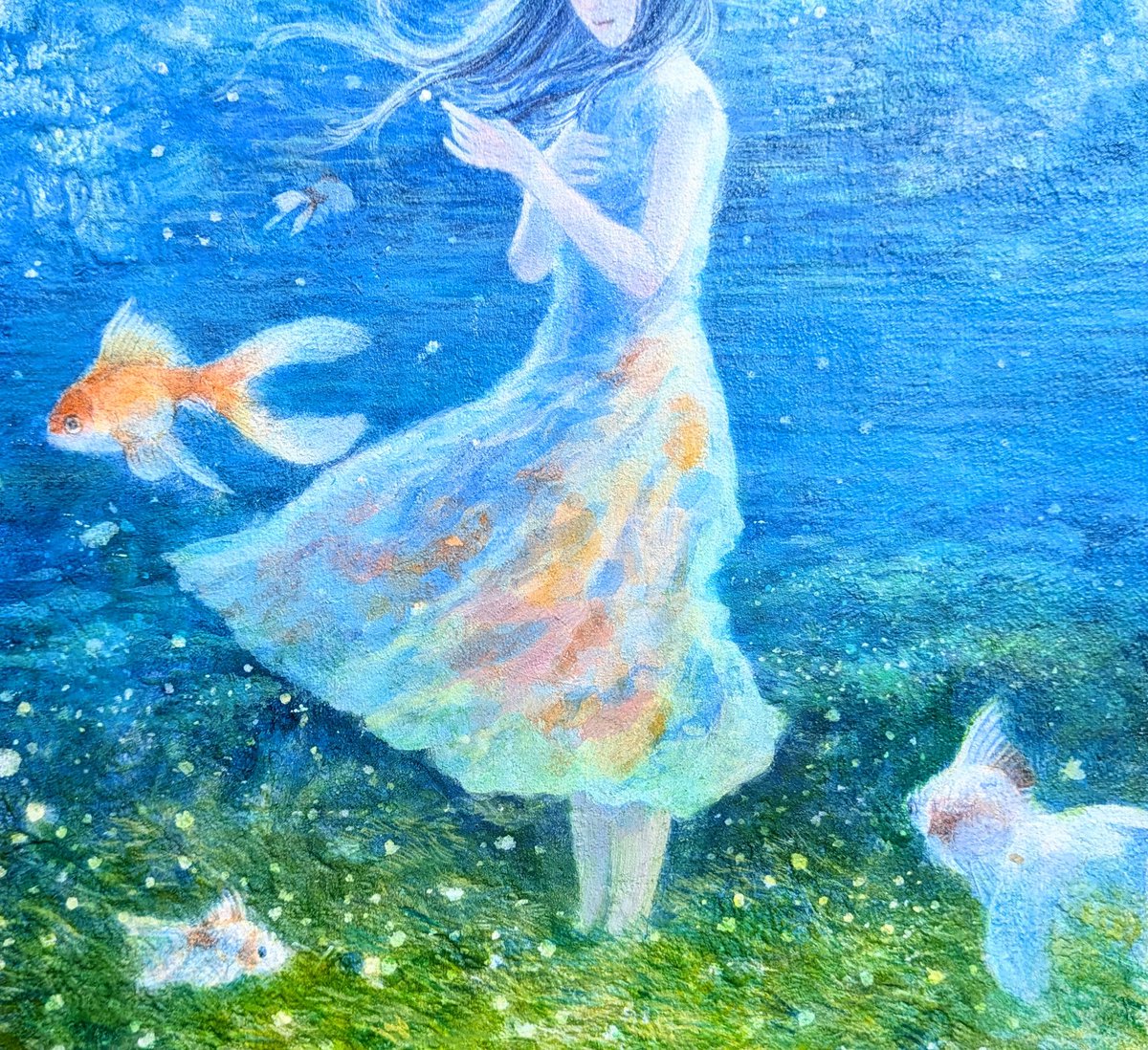 梅花藻の季節。