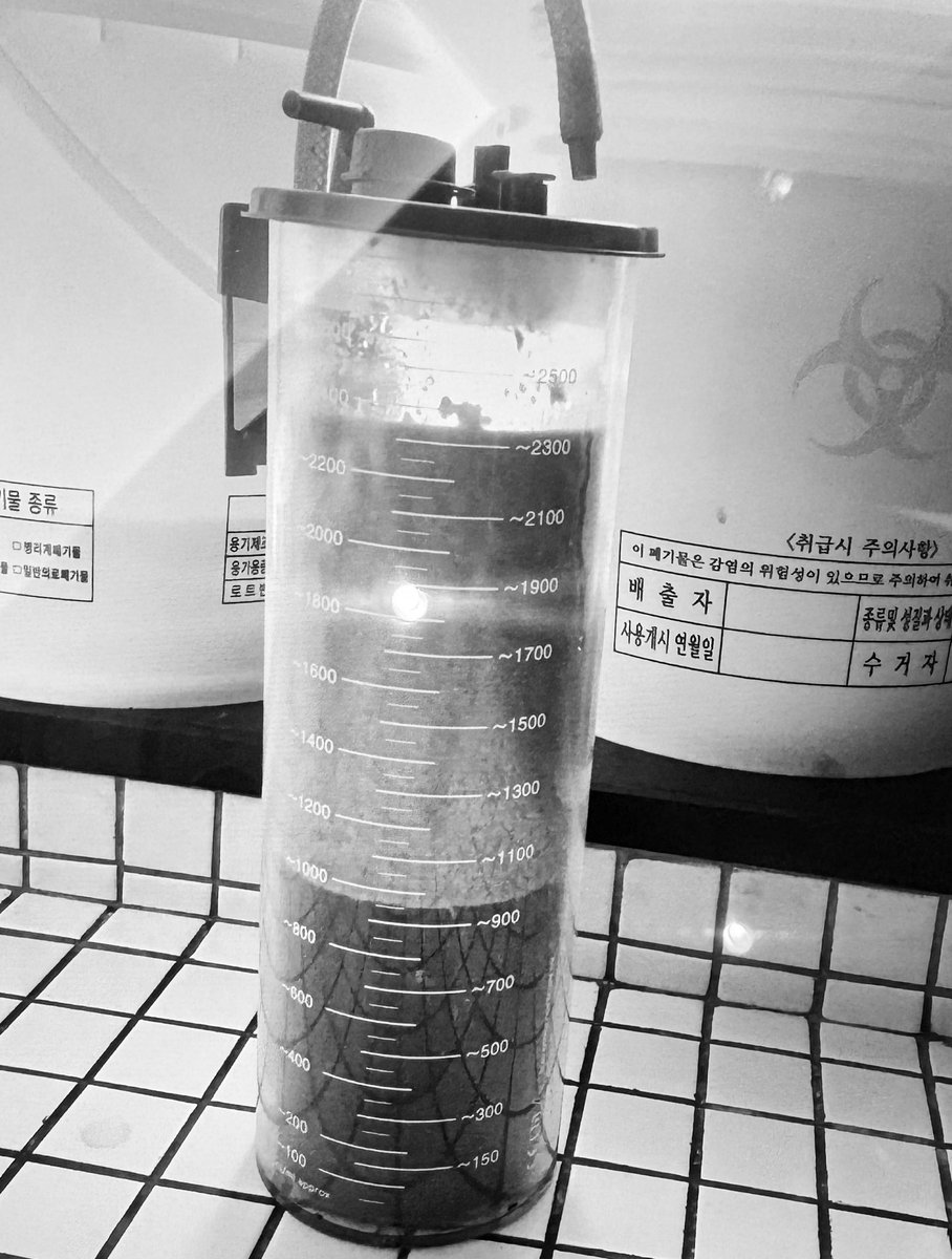 koromo🦖 tweet media