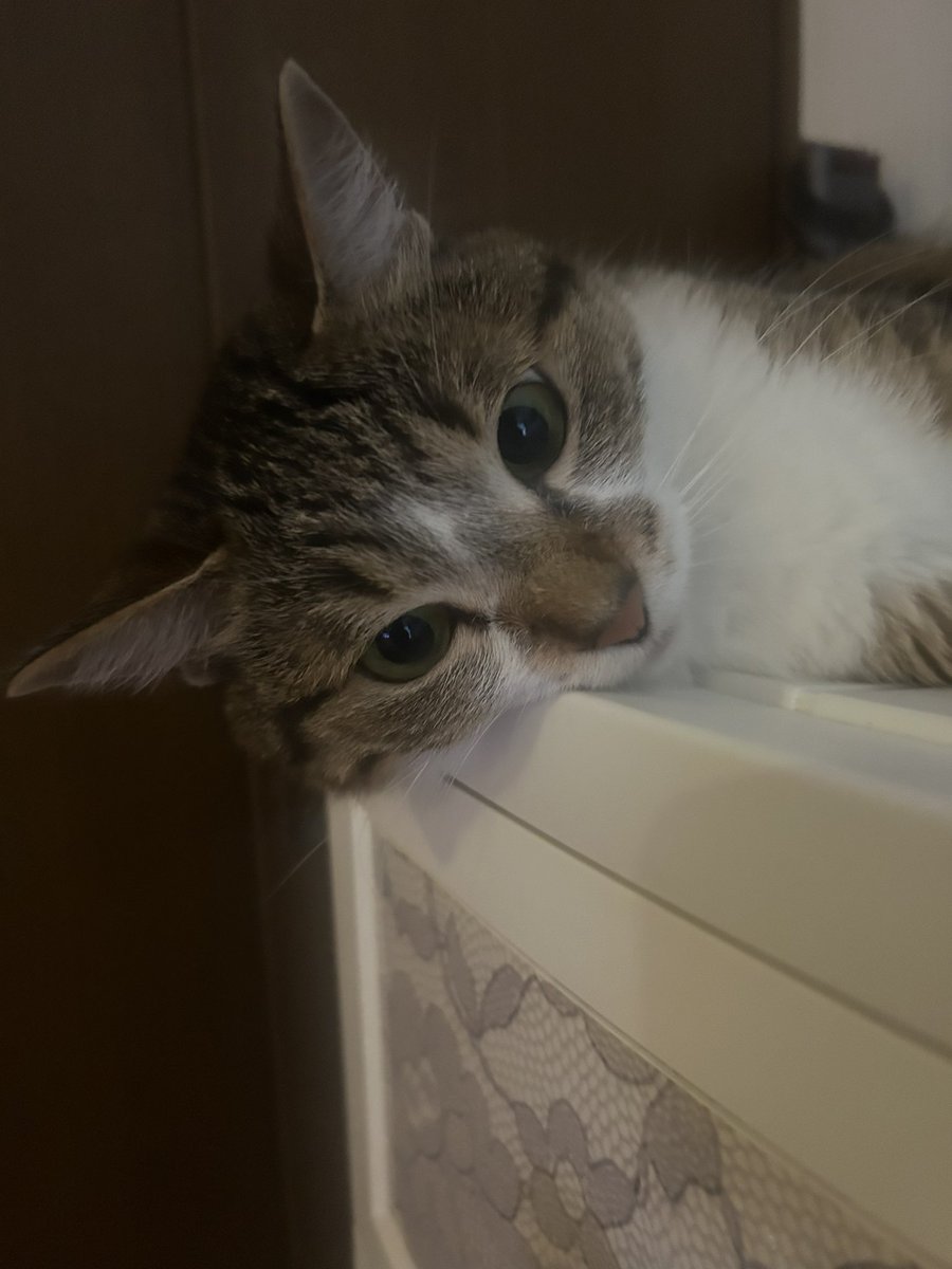 今日も皮下点滴頑張りました✨
まだまだ慣れず…痛い思いをさせてしまって申し訳ない💦