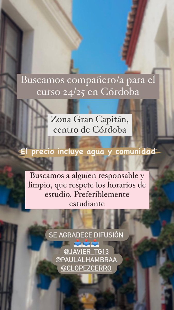 Javier_tg13's tweet photo. ‼️Se busca compañero/a‼️ https://t.co/26aJZClRYY