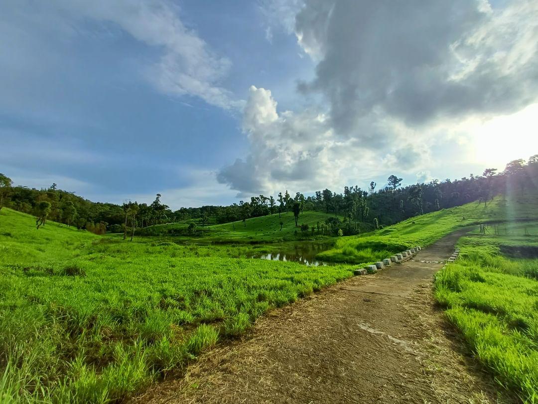 mizoraminsta's tweet photo. AH & Vety farm complex, Thenzawl, Mizoram
.
.
Pic credit 📷 @sailozautea
.
.
.
#vetyfarmthenzawl #thenzawl #fodderplant #farm #grass #green #thenzawlfarm #mizoram #mizoraminsta #northeastIndia #greenery #path #fodderfarm #greenfodder #ranchaw https://t.co/0JSV54XsvG