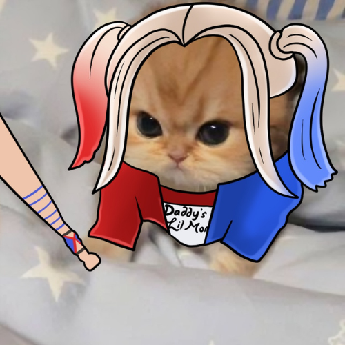 TillyCoinSolana's tweet photo. Eat the dip or $TILLY will give you a whack! https://t.co/SmtfwN8Vf9