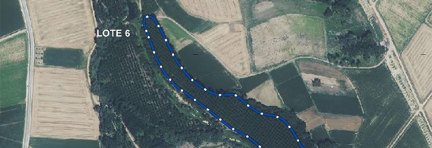 populuscyl tweet media