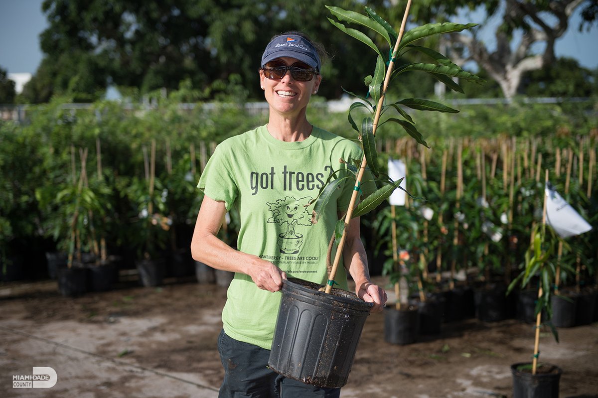 Get ready for the next Adopt-A-Tree event on Saturday, July 20. Don’t miss the chance to green up your space and beautify #OurCounty. Choose from options like Soursop, Crabwood, Grafted Mango and more. Visit miamidade.gov/adopt-a-tree for details. @miamidaderer