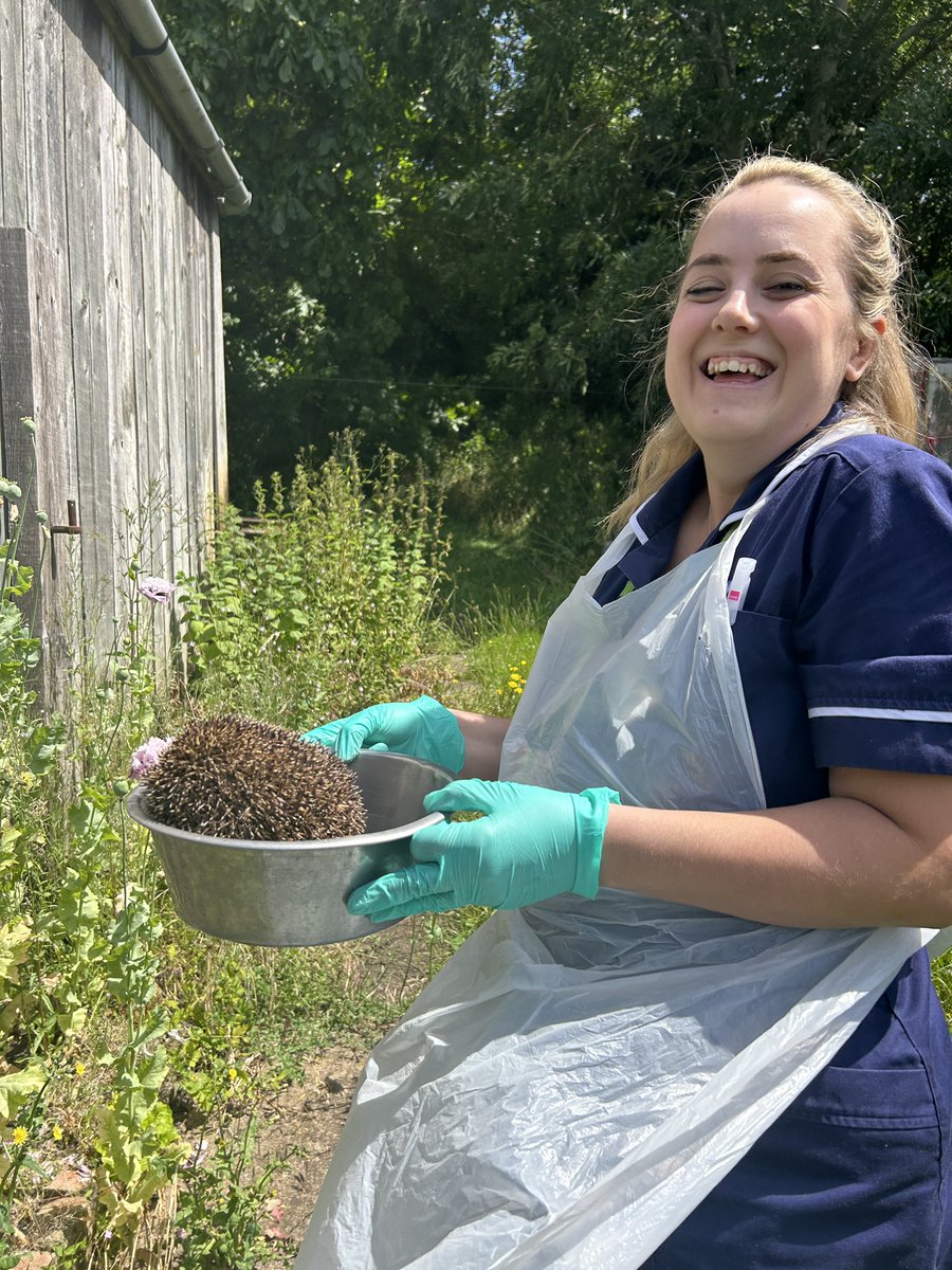 All in a days work for me and @sarahhetherin12.  DN review completed and Hedgehog saved  🦔