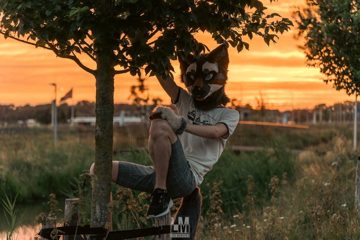 Hanging around this #FursuitFriday

📷: <a href="/ManchasLeo/">Leo Manchas~</a>