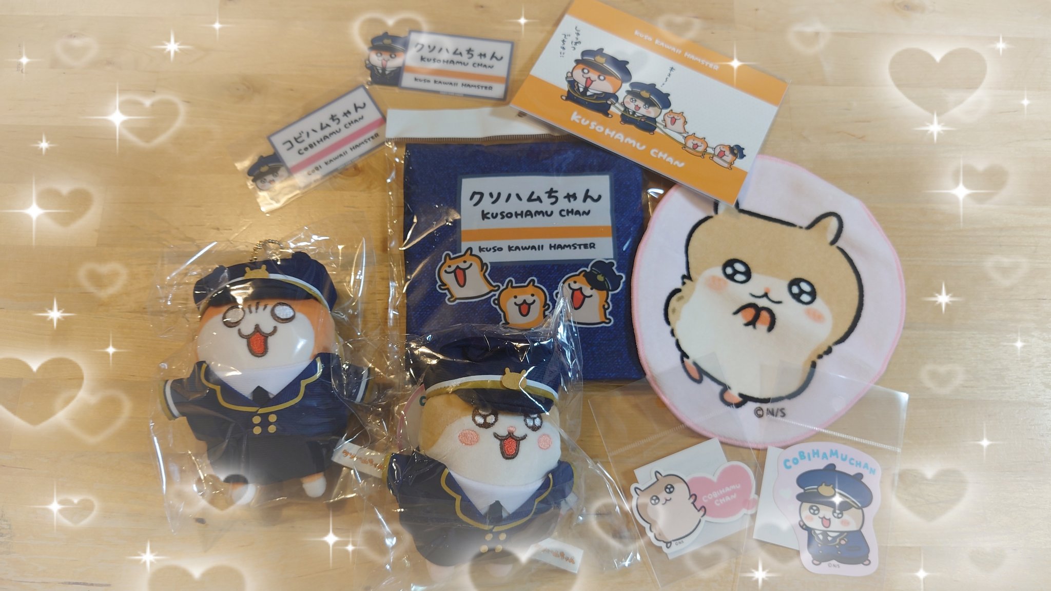 獣医専門外科器具MIZUHOプレートセット合計37本