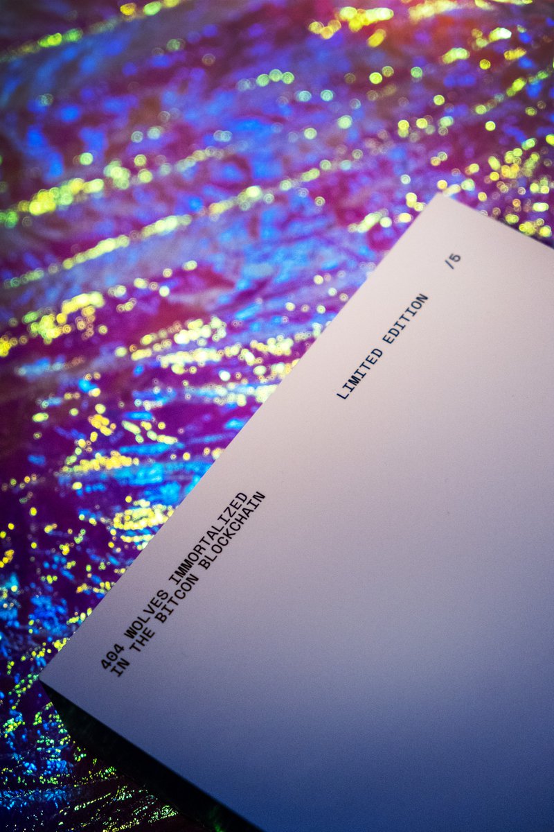 w404lves tweet media