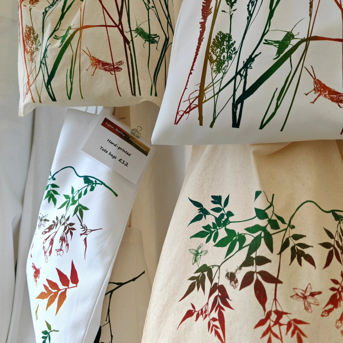 Lynn Bailey tweet media