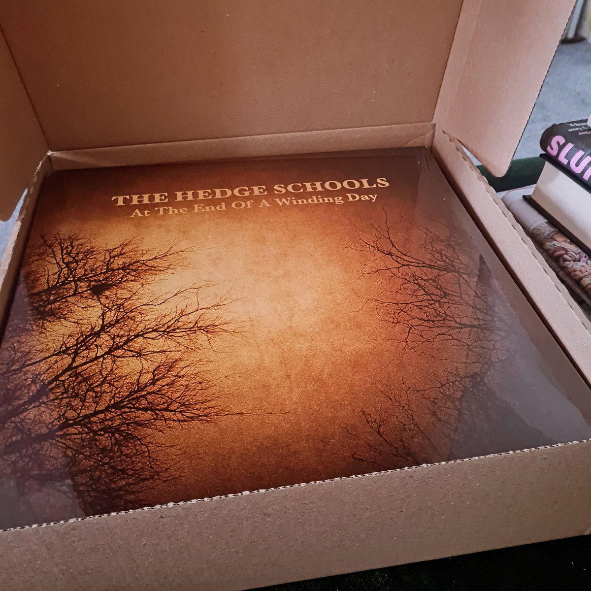 Patrick Michael Barrett tweet media