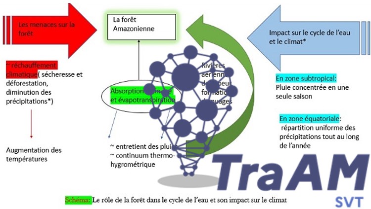 IAN SVT Aix Marseille (@iansvt_aix_mrs) on Twitter photo L'IA utilisée pour assister les élèves à la réalisation d'un schéma fonctionnel sur la place des écosystèmes dans les cycles géochimiques en première spécialité, Une activité #edubase, #TraAM 2023-2024 sur le site #SVT de l’<a href="/ACAixMarseille/">Acad. Aix-Marseille</a>
edubase.eduscol.education.fr/fiche/22634 L'IA utilisée pour assister les élèves à la réalisation d'un schéma fonctionnel sur la place des écosystèmes dans les cycles géochimiques en première spécialité, Une activité #edubase, #TraAM 2023-2024 sur le site #SVT de l’<a href="/ACAixMarseille/">Acad. Aix-Marseille</a>
edubase.eduscol.education.fr/fiche/22634