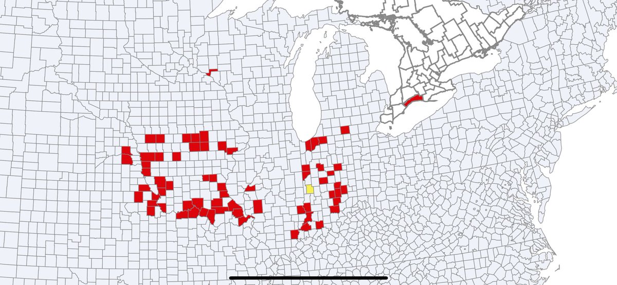 Right on Time! Tar Spot detected July 4th West Elgin, ON! Incidence and severity extremely low! Not unexpected as TS consistently been found 1st 2 wks of July at this trial location. Action at this time is scout early planted fields in SW and track corn.ipmpipe.org/tarspot/@cropd… #OntAg